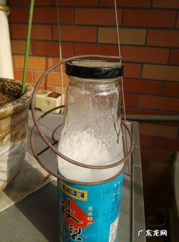 家养蟹爪兰影响风水吗 蟹爪兰养家里风水好吗