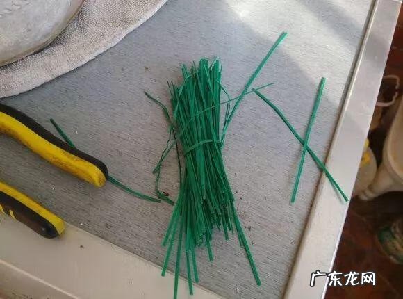 家养蟹爪兰影响风水吗 蟹爪兰养家里风水好吗