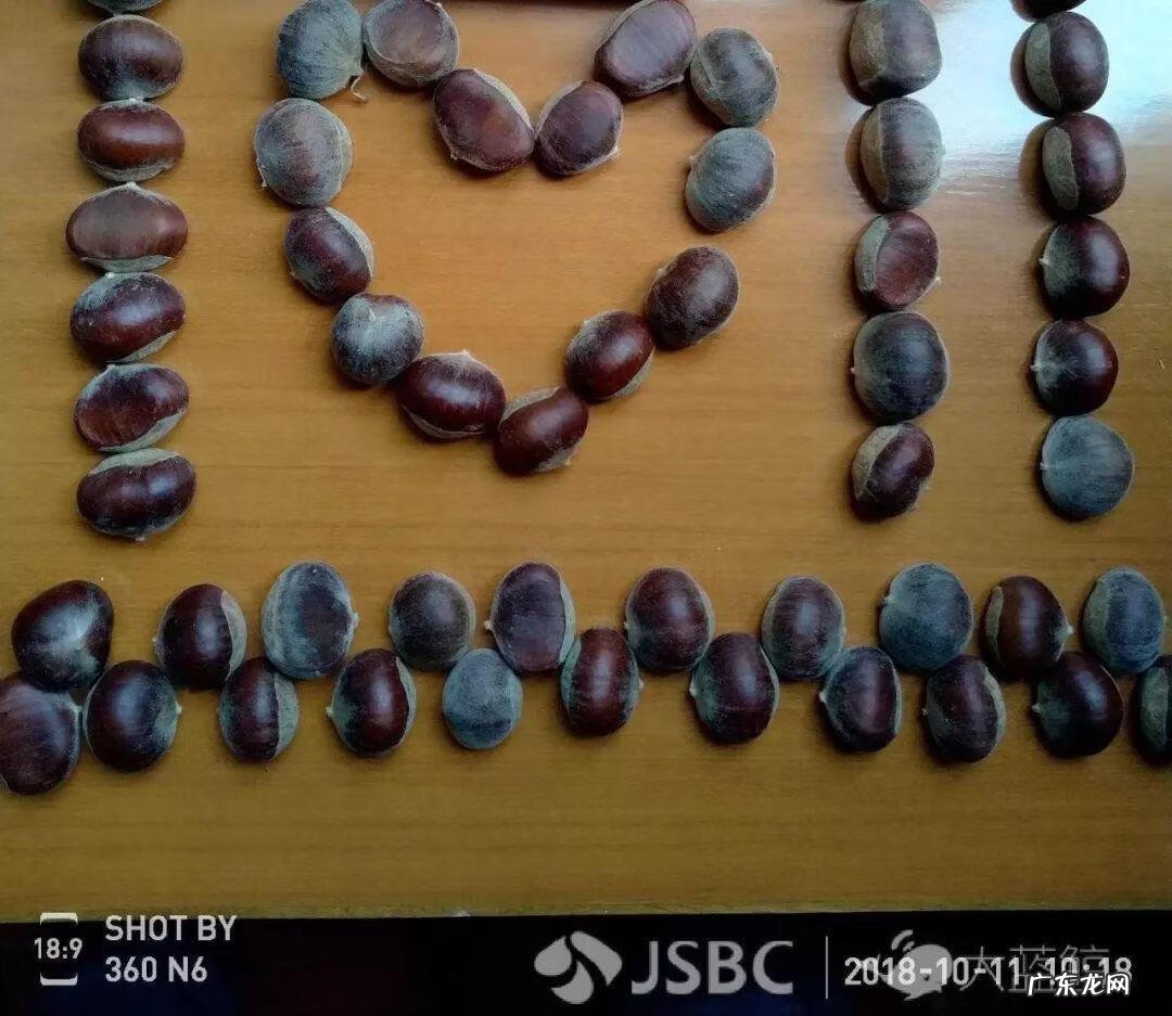 fm104.3在线收听 101.1在线收听 101.1