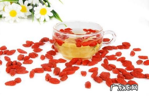 枸杞泡水喝的正确方法 枸杞子泡水喝的功效和作用