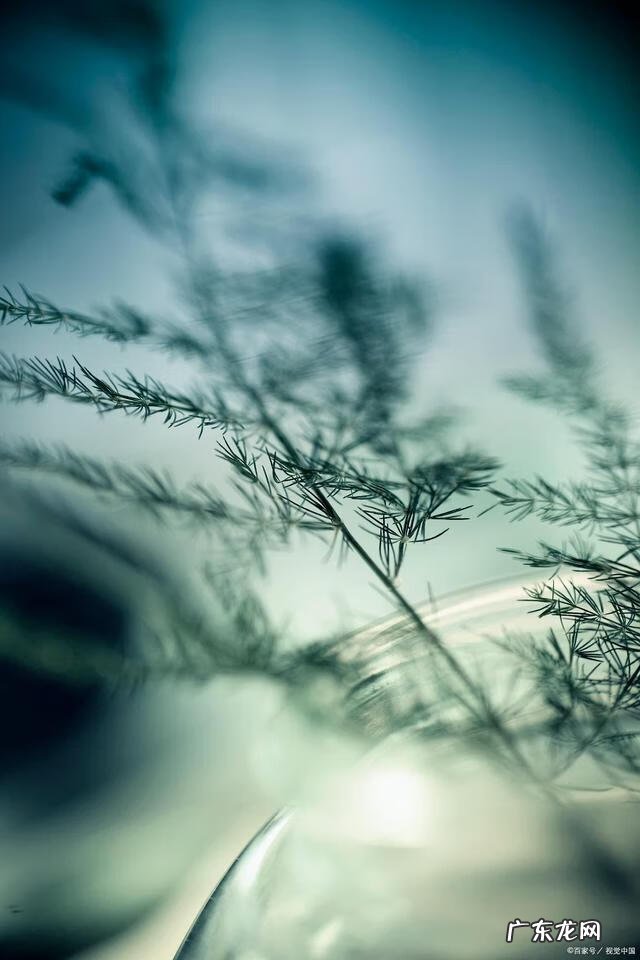 整栋楼L型风水 l形建筑物风水格局