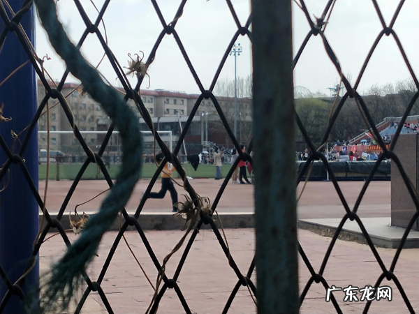 冬季运动会作文开头怎么写 冬季运动会作文开头