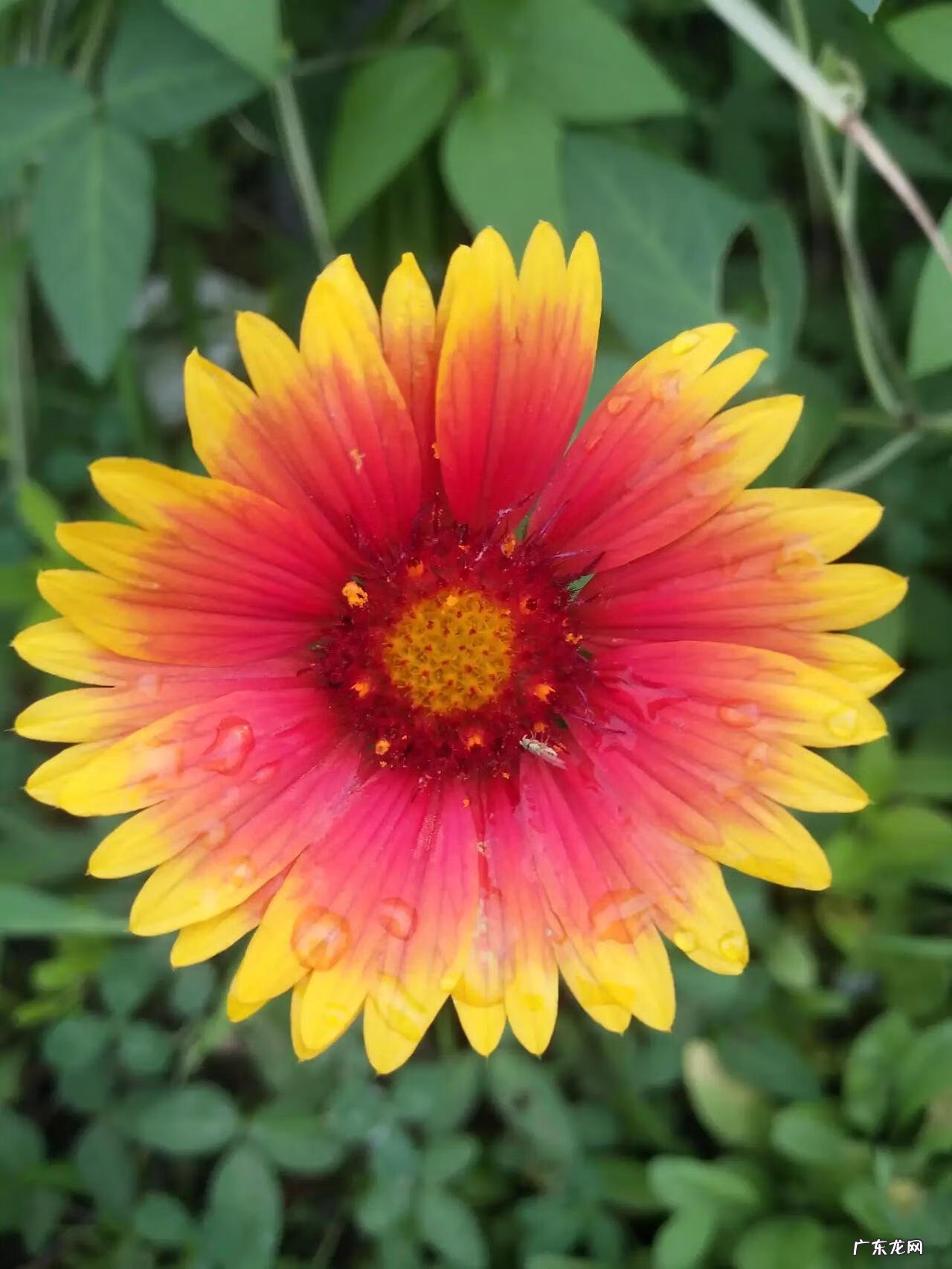 三年级简单作文 小学三年级作文多少字