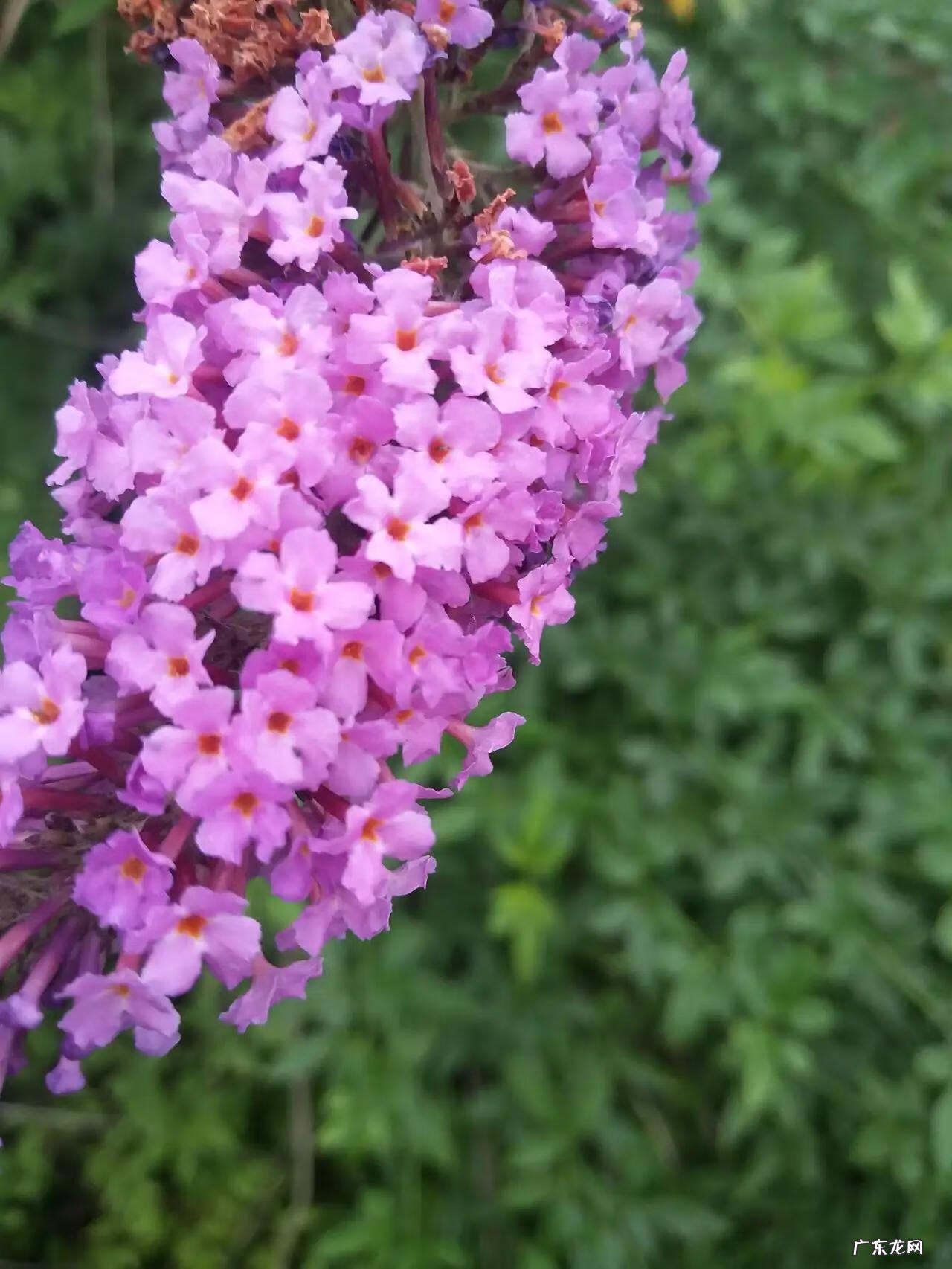 三年级简单作文 小学三年级作文多少字