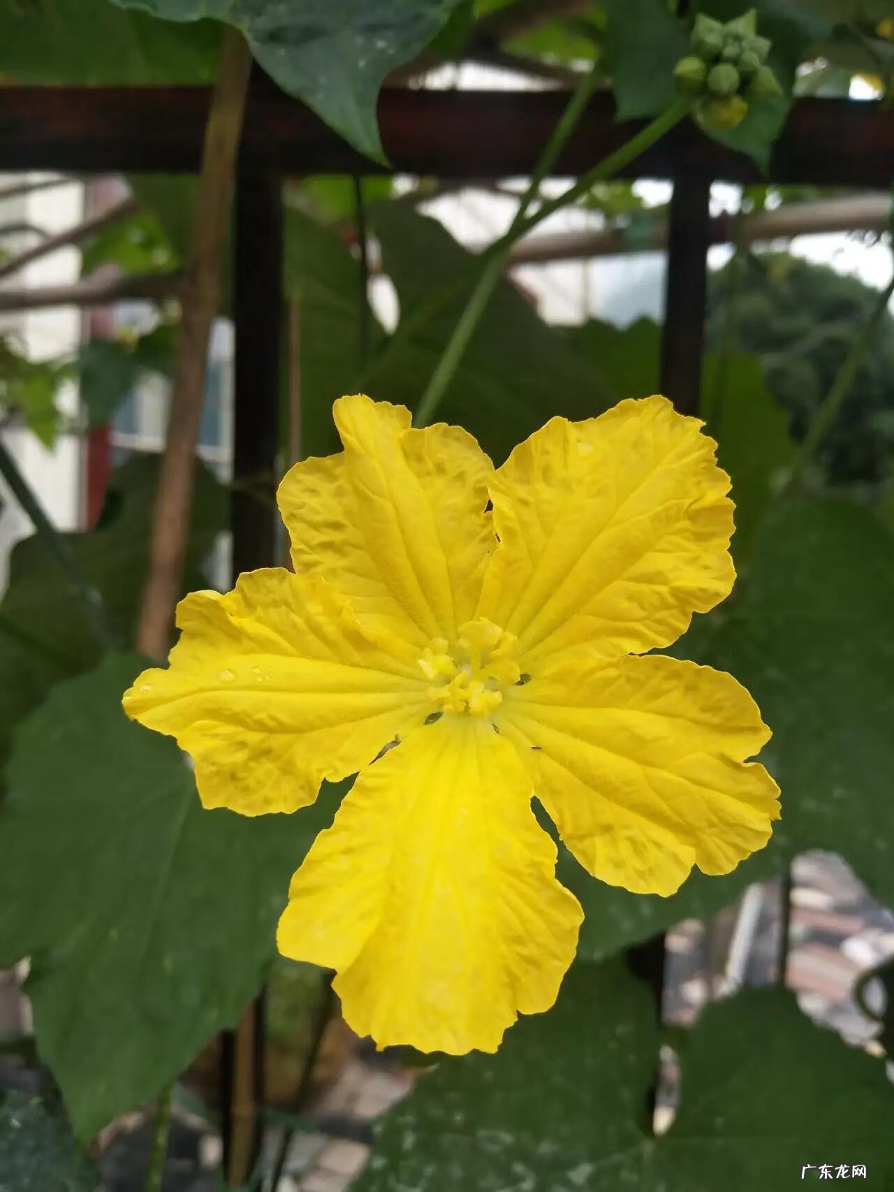 三年级简单作文 小学三年级作文多少字