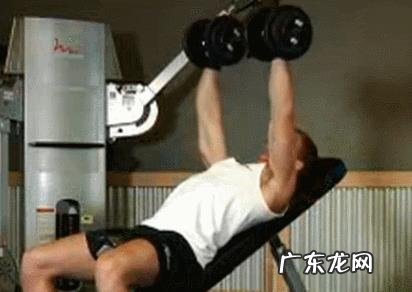 如何正确锻炼腹肌、胸肌?