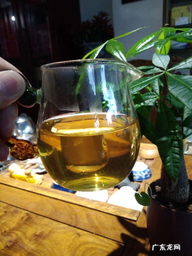 你还在乱喝生普洱吗，它的坏处你都知道吗？身体都被你喝坏了？