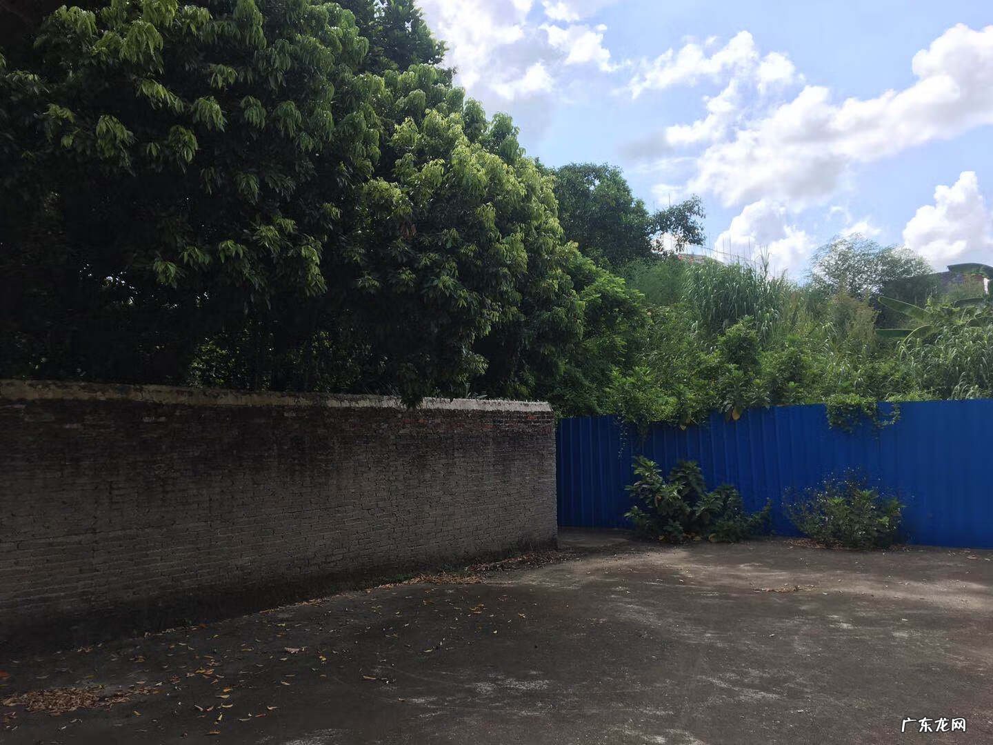 祠堂门口风水 祠堂 风水