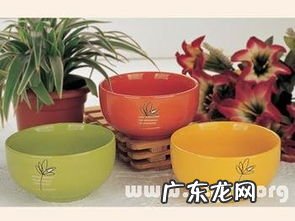 梦见碗碎了一块什么预兆 梦见碗碎了是什么预兆女人怀孕