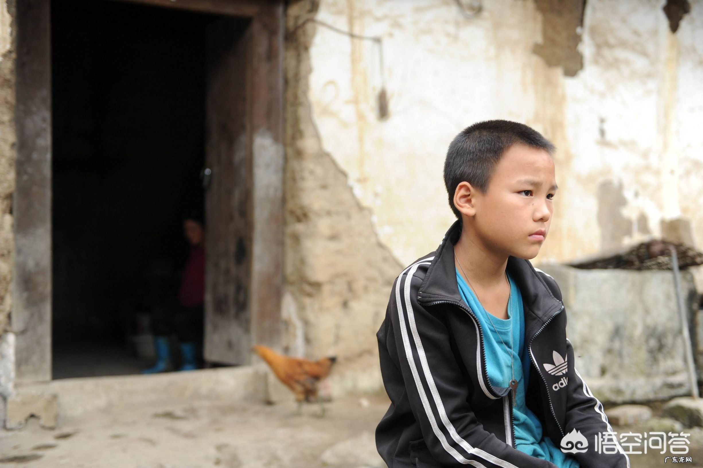 在农村，留守儿童面临的主要问题有哪些？