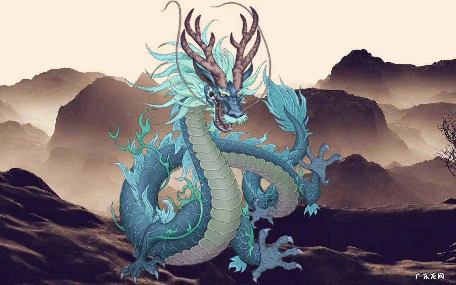 中国出现过最大的蛇 世界上最大的蛇到底有多大