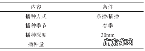香樟树果实直接吃了怎么办 香樟果实