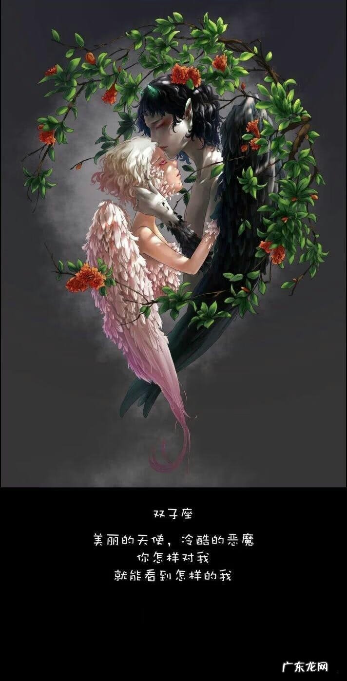 星座图片 全图 星座图片