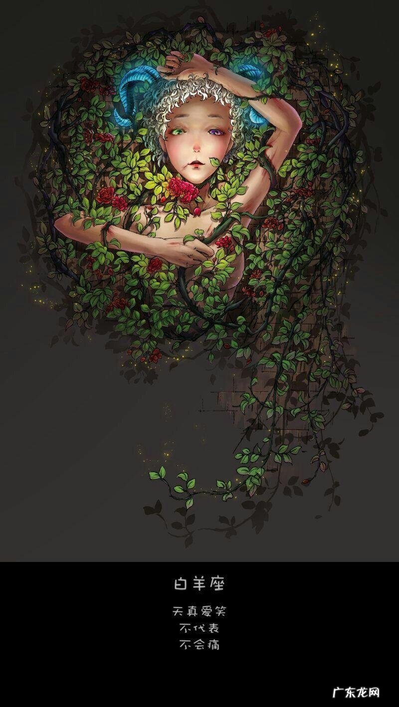 星座图片 全图 星座图片