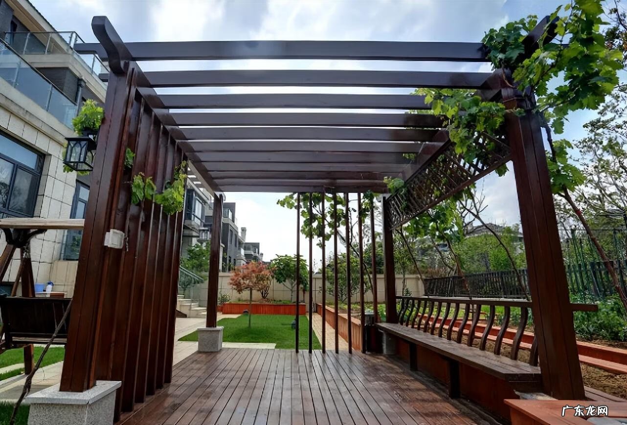 院子里小鸟太多了怎么办 院子里小鸟多风水好吗