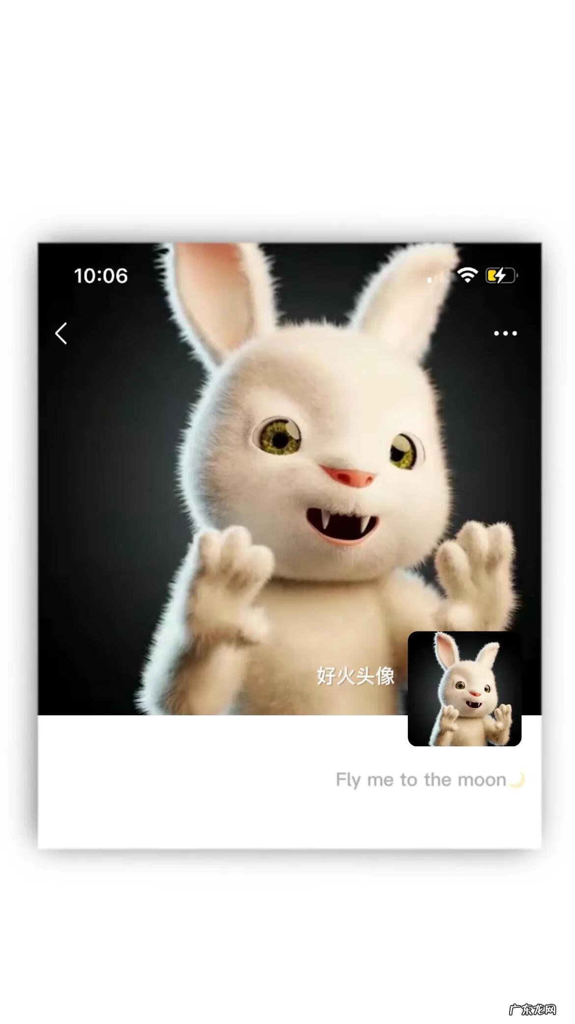 兔子男生头像图片 兔男微信头像