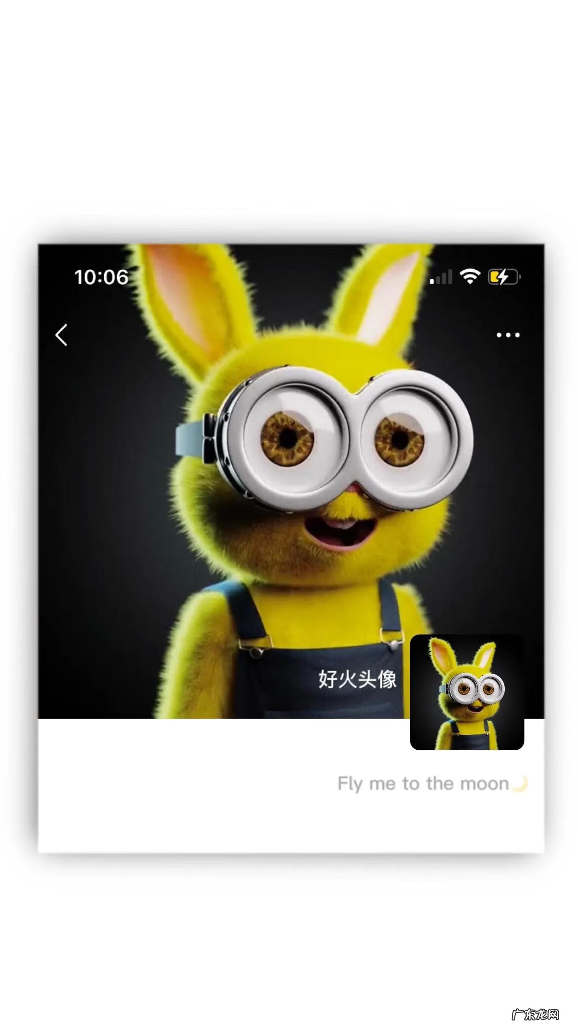 兔子男生头像图片 兔男微信头像