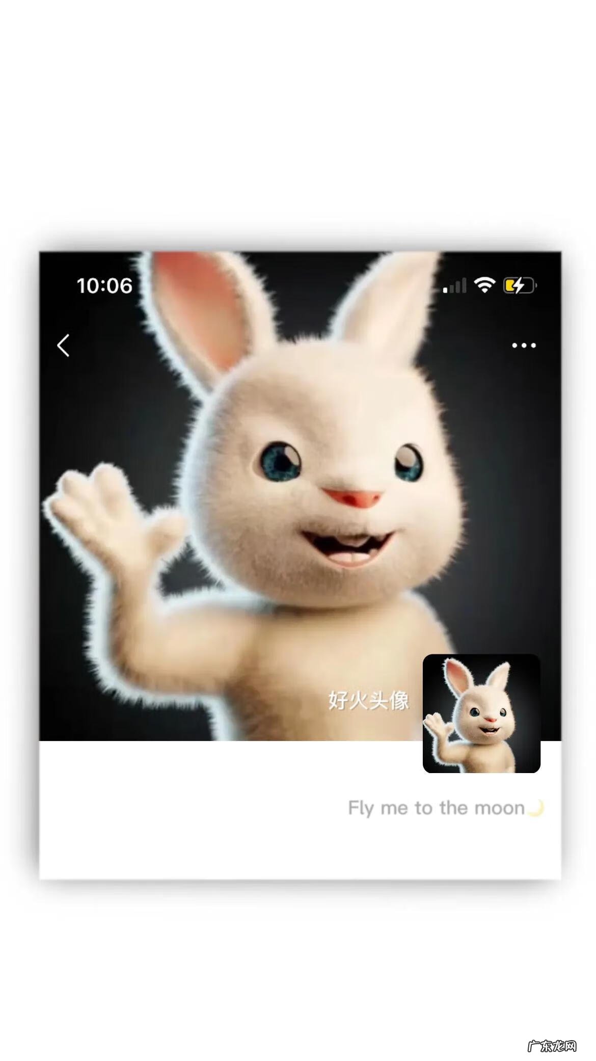 兔子男生头像图片 兔男微信头像