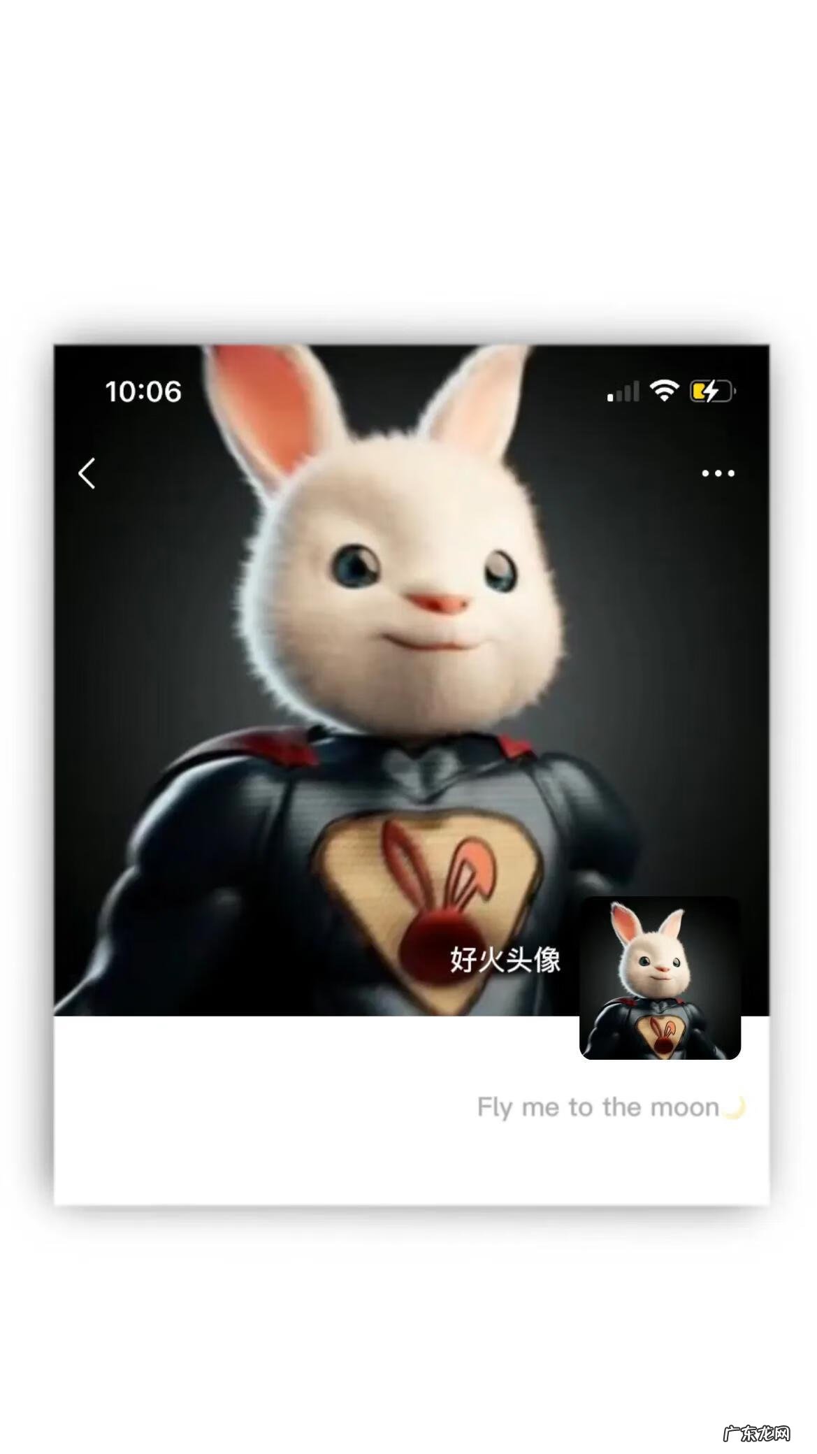 兔子男生头像图片 兔男微信头像