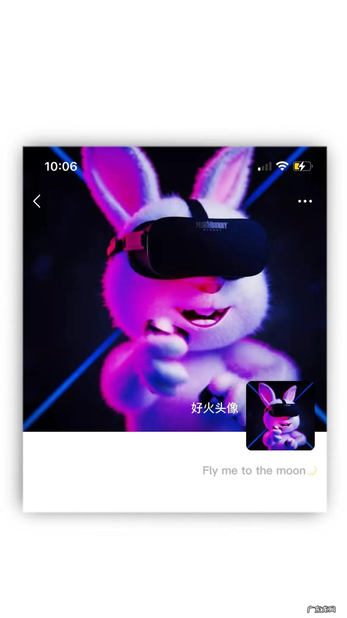 兔子男生头像图片 兔男微信头像