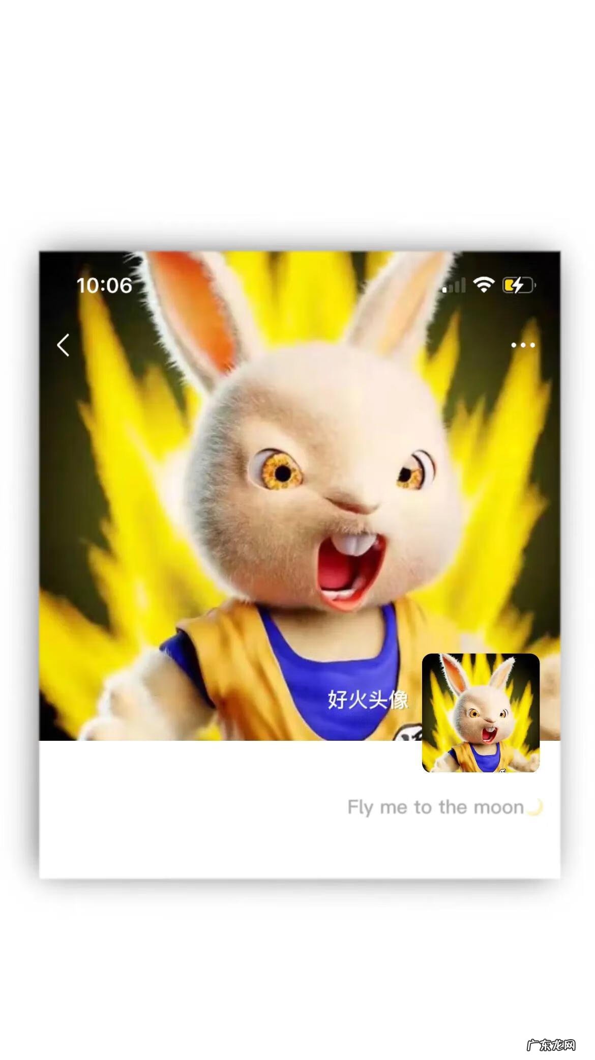 兔子男生头像图片 兔男微信头像