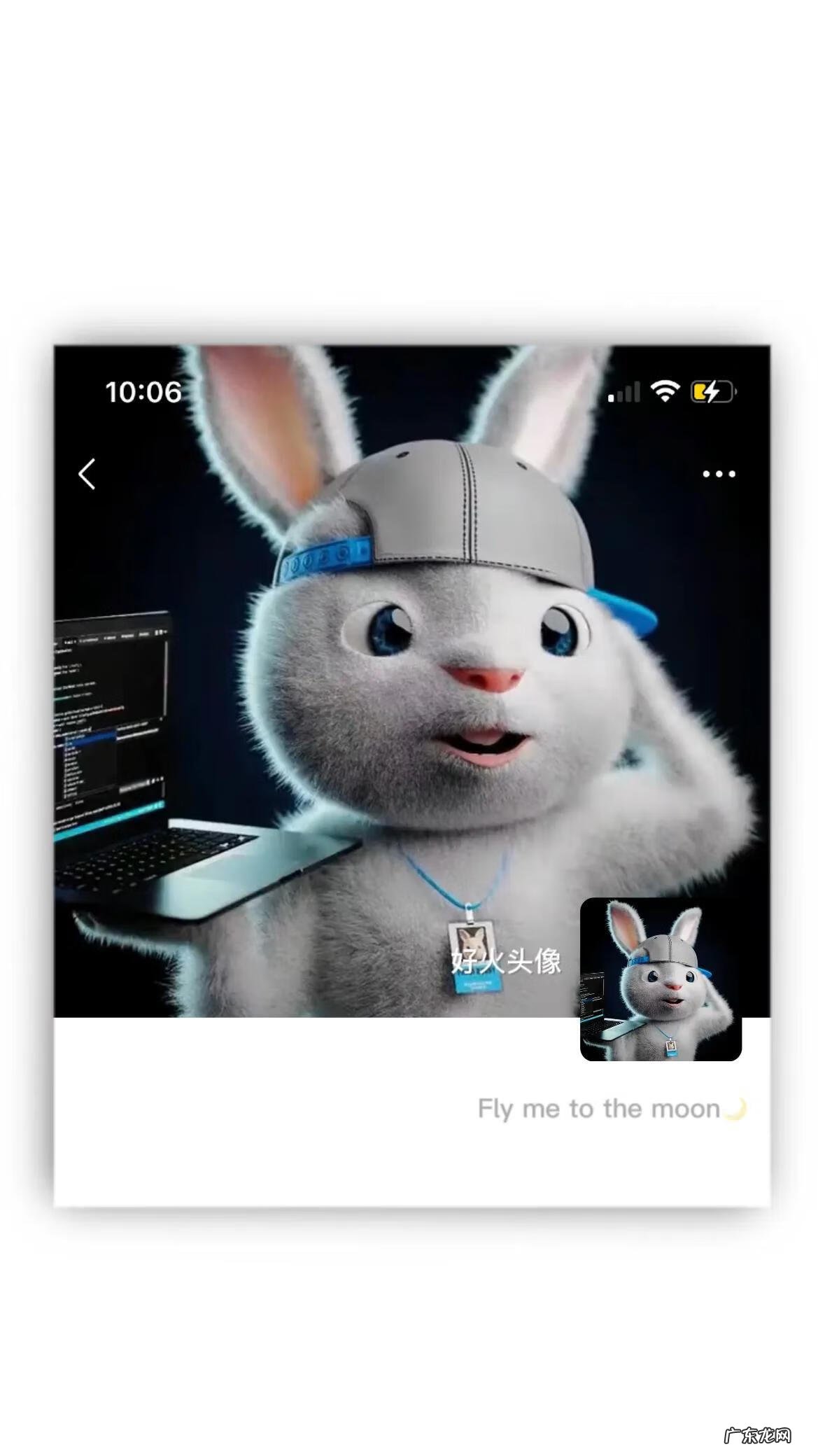 兔子男生头像图片 兔男微信头像