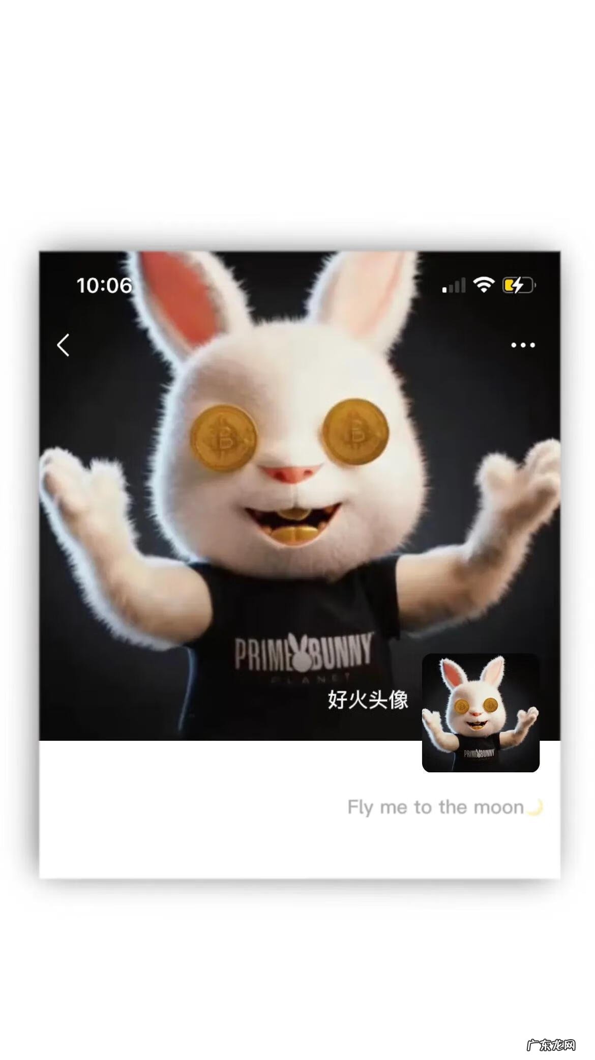 兔子男生头像图片 兔男微信头像