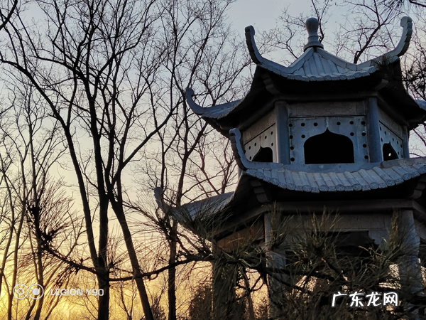 QQ飞车飞火龙怎么获得 QQ飞车飞火龙