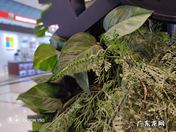 QQ飞车飞火龙怎么获得 QQ飞车飞火龙