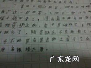 二十年后回家乡作文三百字 二十年后回家乡的作文评语