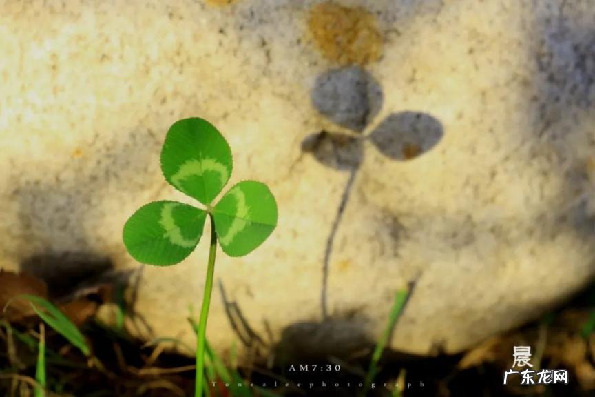 有关青春的诗句名言 有关青春的名人名言郭沫若