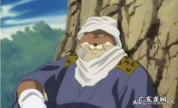 狛村左阵图片 狛村左阵最后怎样了