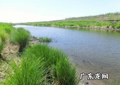 河流造句二年级下册 小河造句一年级简单的句子大全