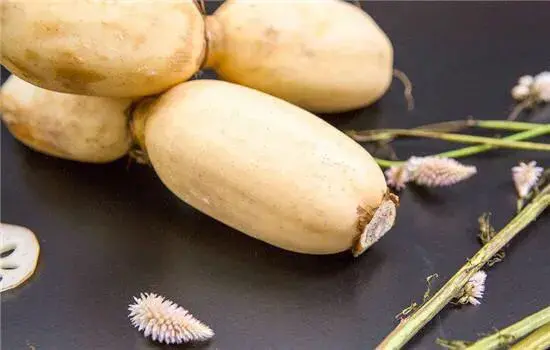 蔬菜的种植步骤和过程 各种蔬菜种植技术大全