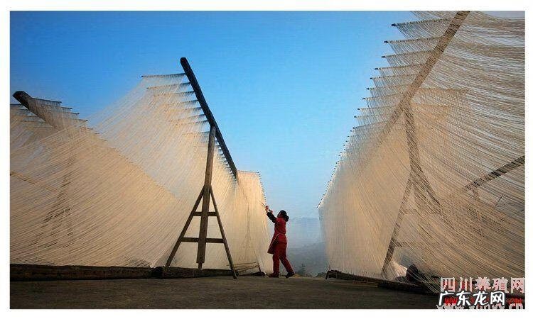 东阳索面做法 索面的历史