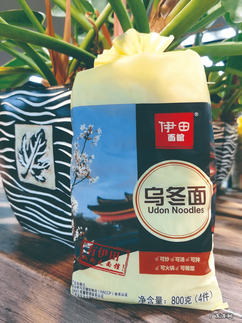 月光族的女孩 月光族图片