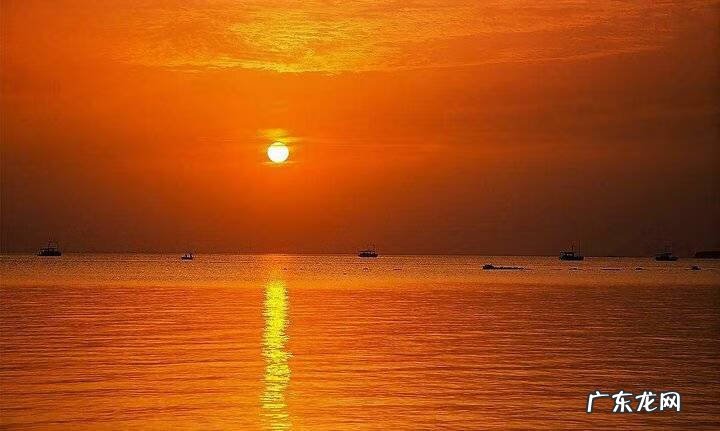 合肥新东方总部 合肥新东方医院地址