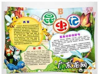 学校布置的手抄报作业，家长应该如何正确的辅导？