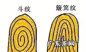 手掌风水 左手和右手风水