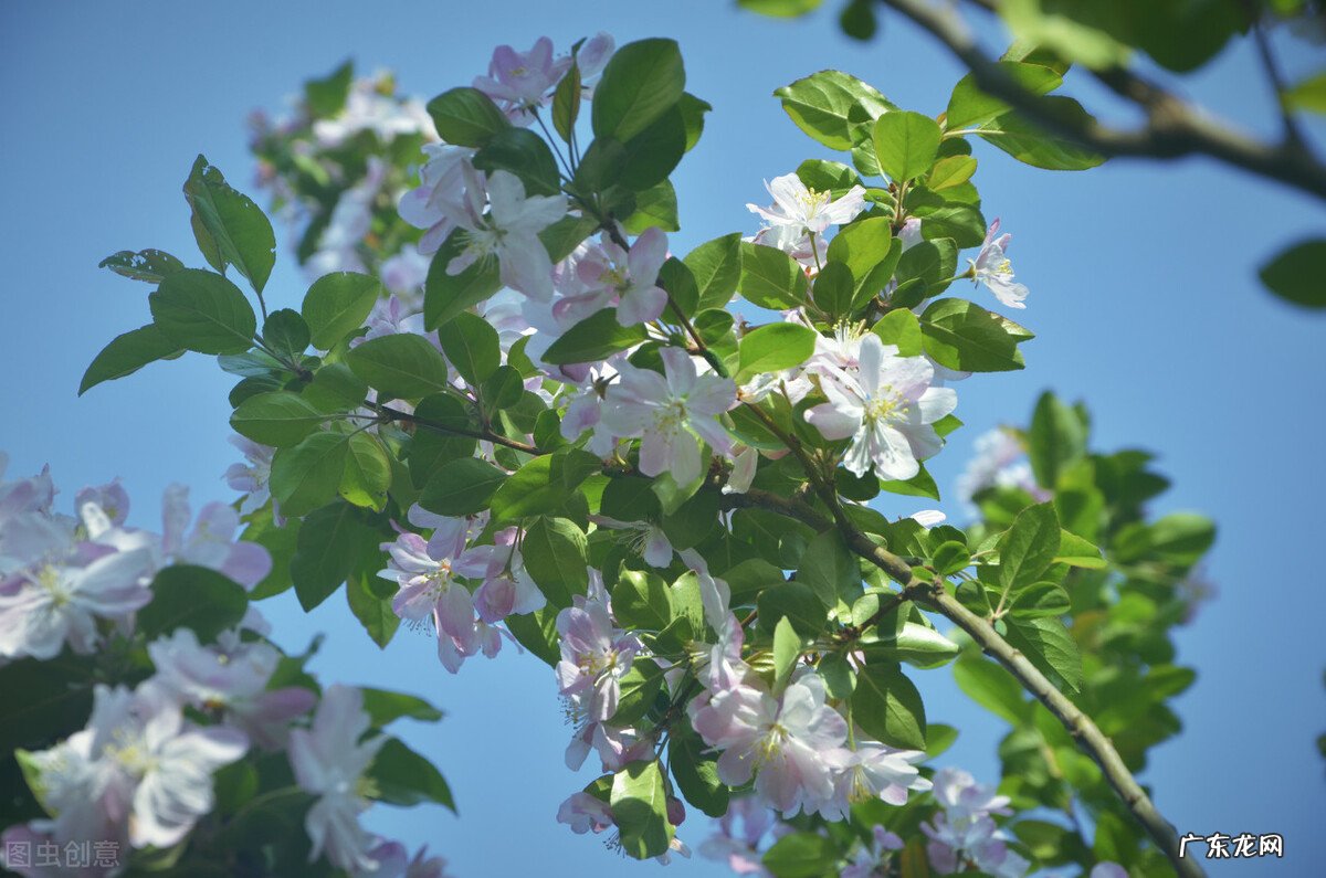 亲爱的陌生人，你最喜欢的一句简短书摘是什么呢？