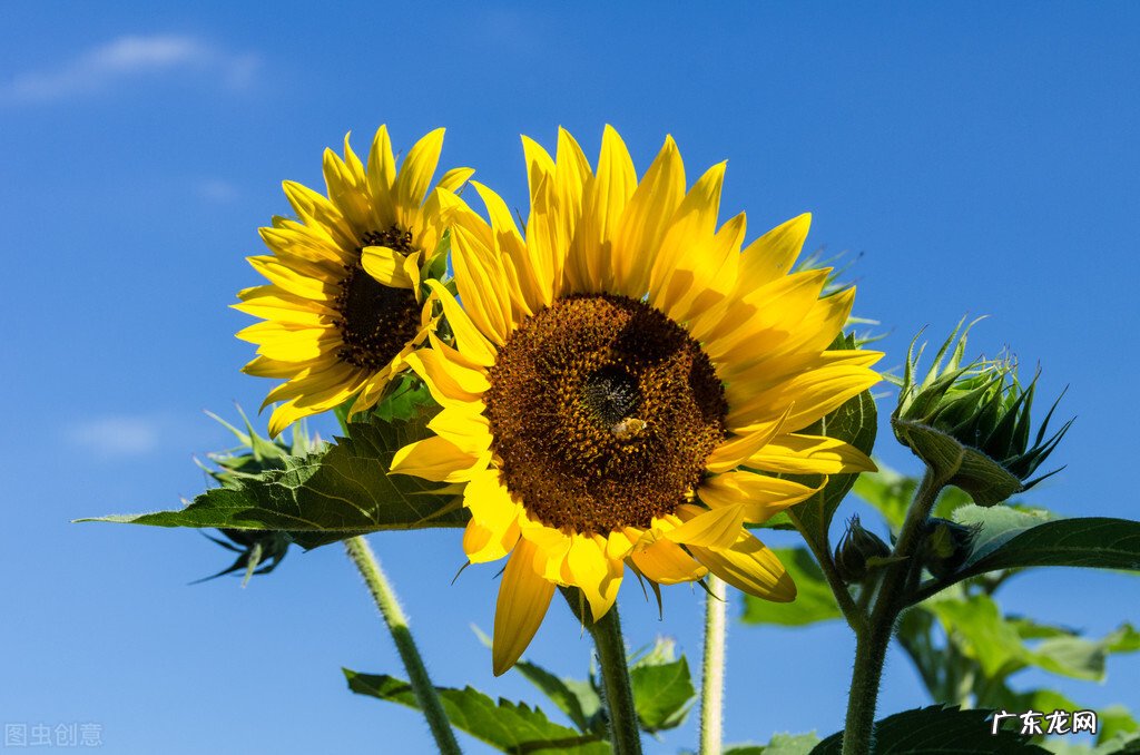 亲爱的陌生人，你最喜欢的一句简短书摘是什么呢？