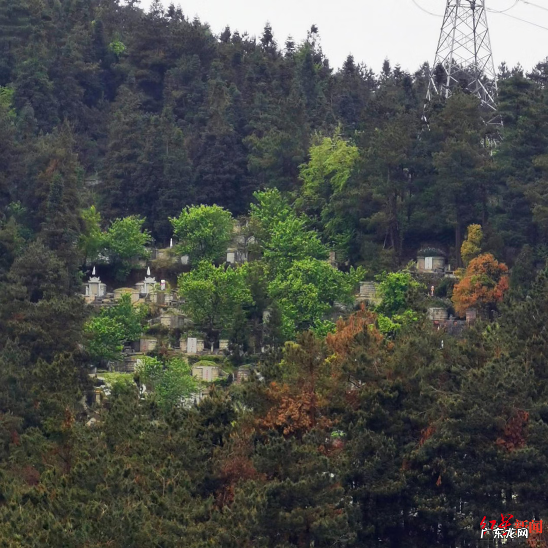山坟风水词汇 山坟风水禁忌