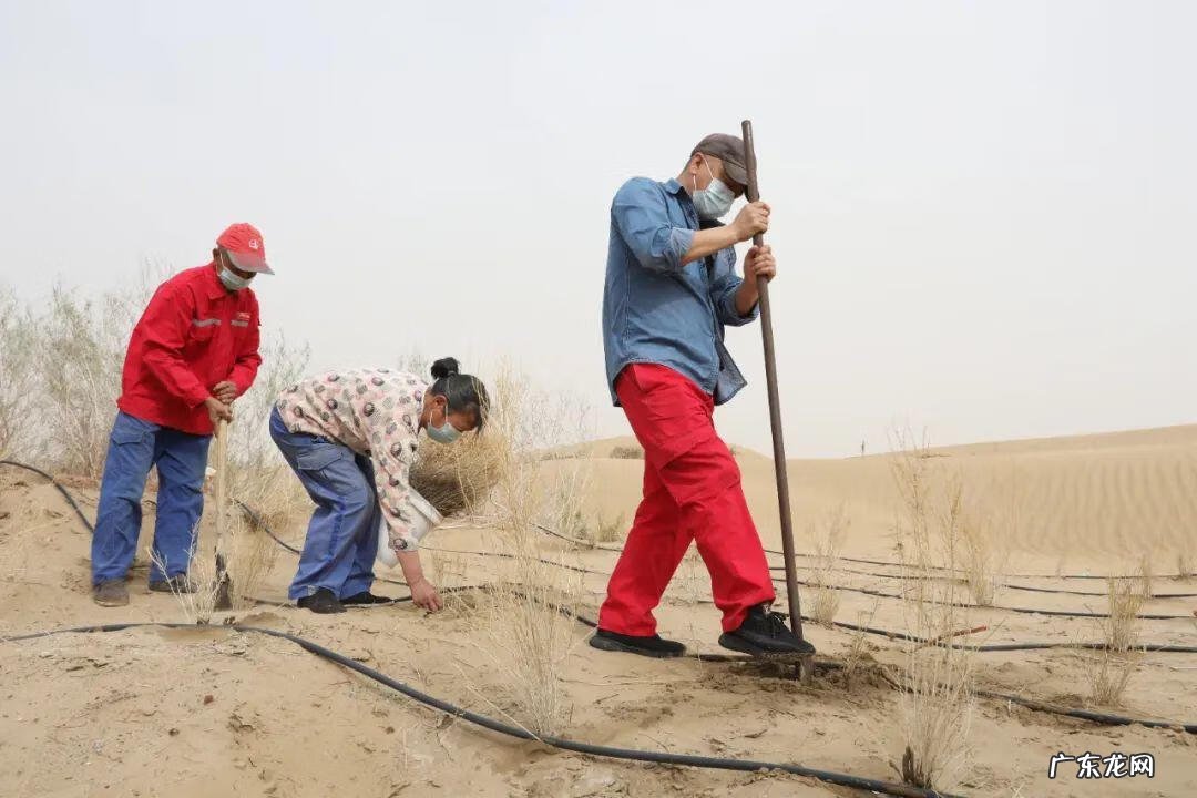风水宝地的土质颜色 有白泥巴的地方是风水宝地吗视频