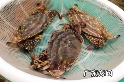 梭子蟹的美味吃法 梭子蟹洗好后可以放冰箱冷藏吗