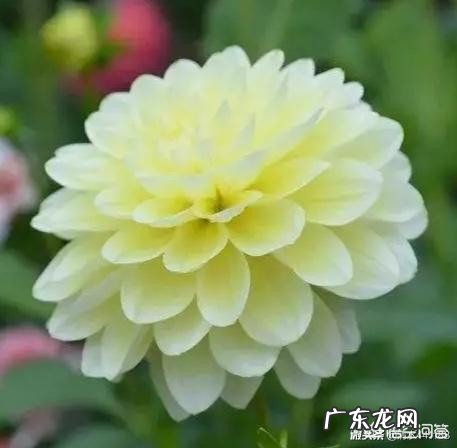 初唐盛唐晚唐，不分早晚，全唐诗百读不厌；如何对下联？