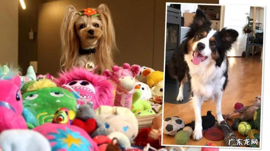 如何测智商是多少 怎么测试智商数值爱因斯坦图片