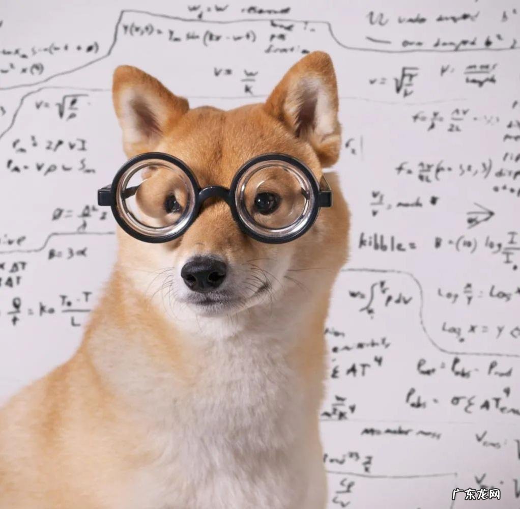 如何测智商是多少 怎么测试智商数值爱因斯坦图片