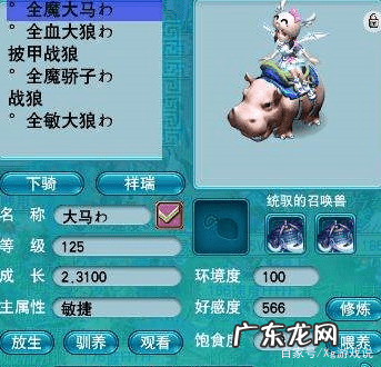 纯辅助无底洞加点 无底洞加点2022