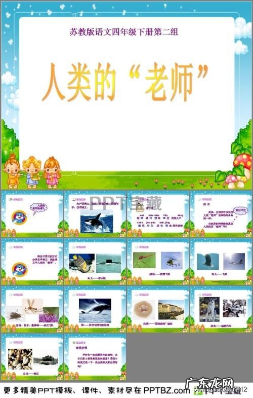 什么生物是人类的老师?