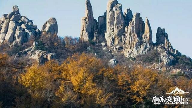 孙悟空为什么大闹天宫？